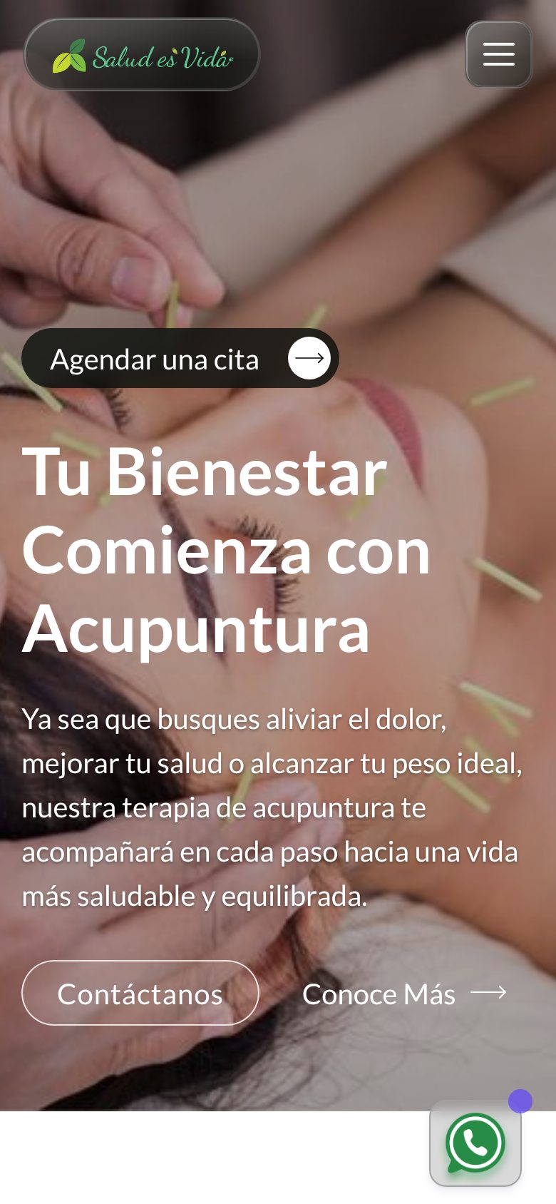 Acupuntura en Puebla en el celular