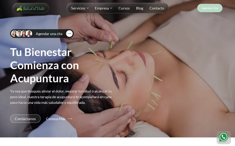 Acupuntura en Puebla
